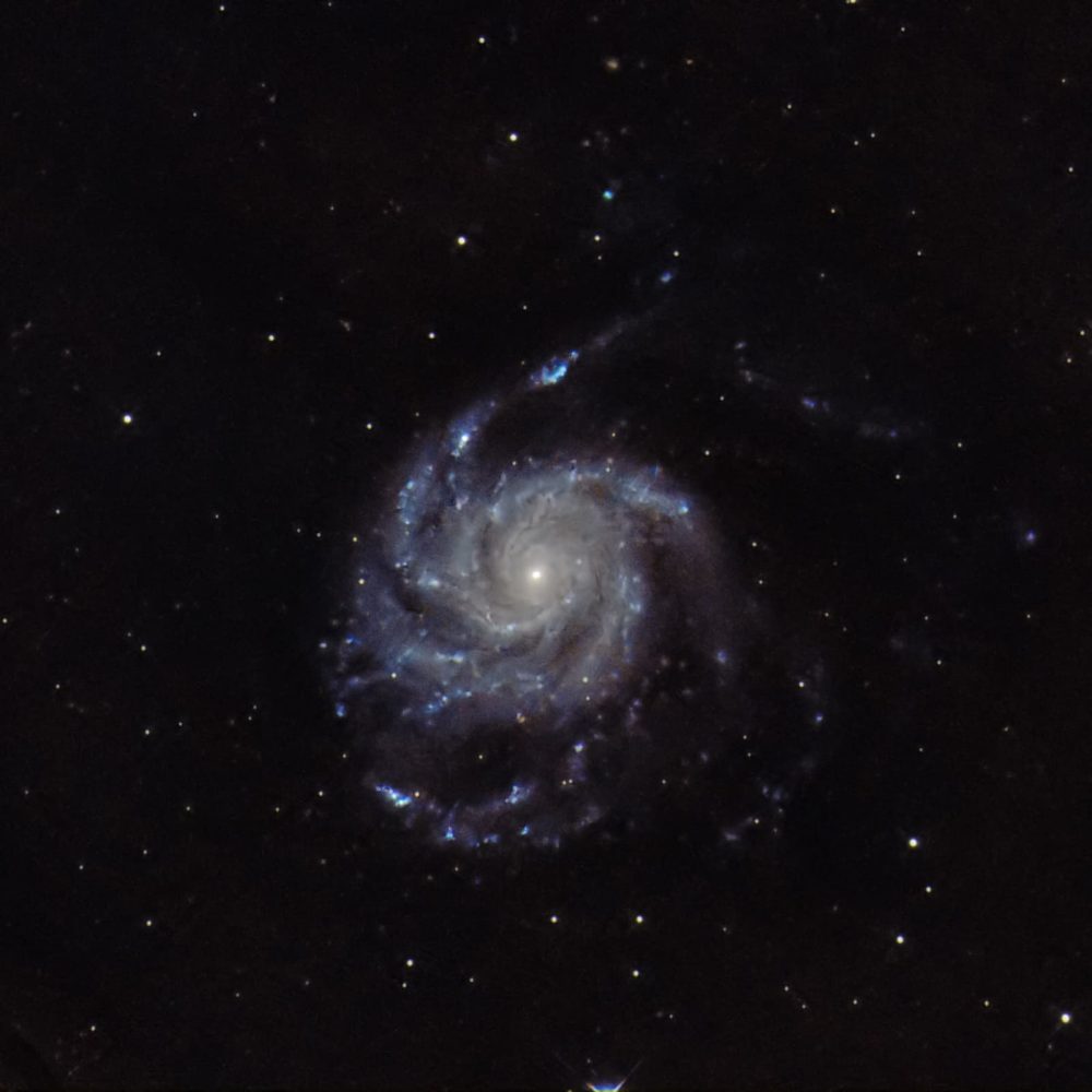 Galáxia do Catavento (M101)