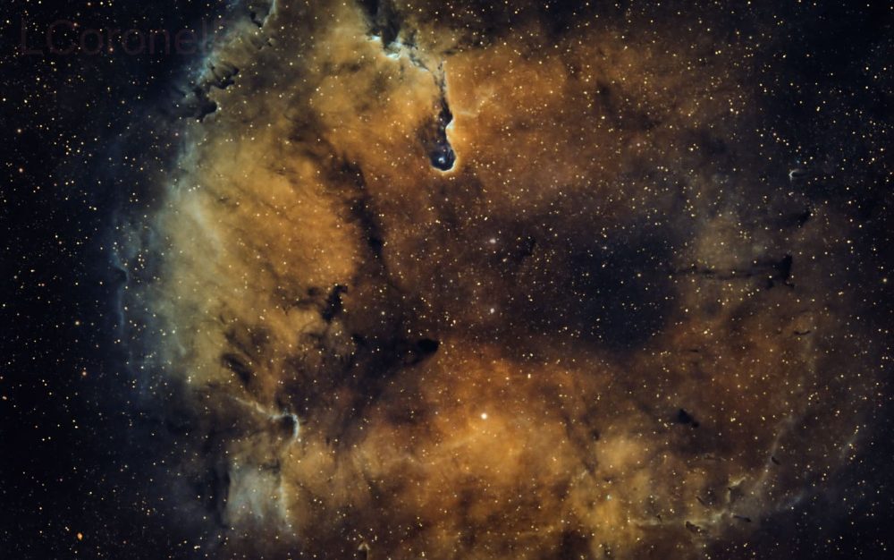 Nebulosa da Tromba de Elefante (IC 1396)