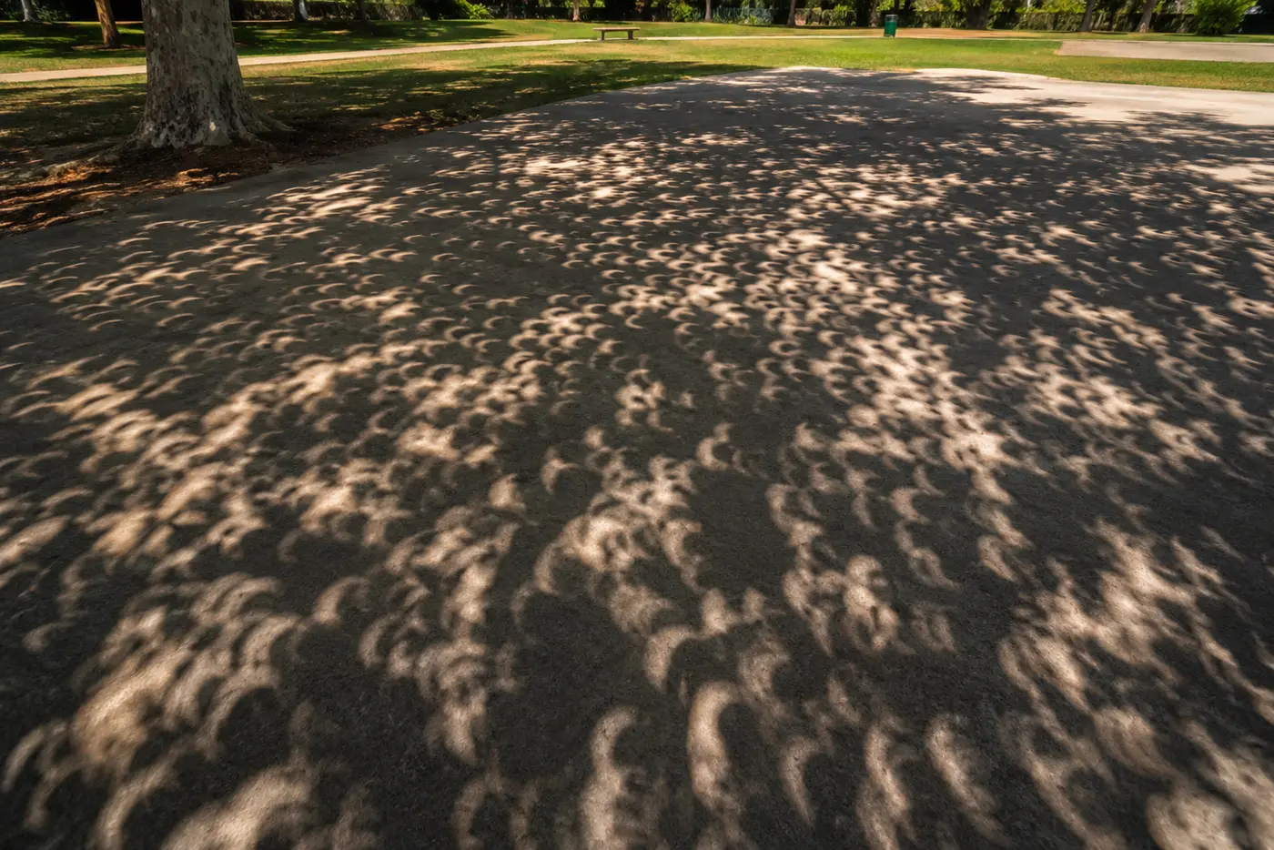 Sombra de uma árvore no chão: a luz entre as folhas projeta dezenas de pequenos crescentes solares.