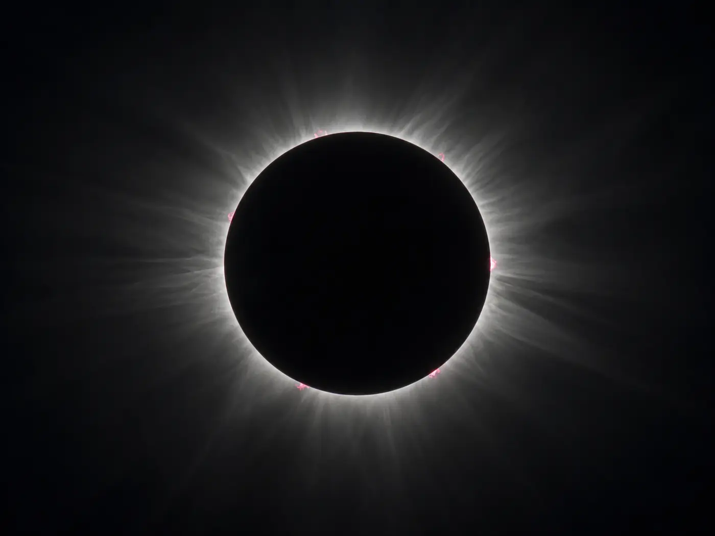 A coroa solar em plena totalidade: um halo branco à volta do disco negro da Lua.